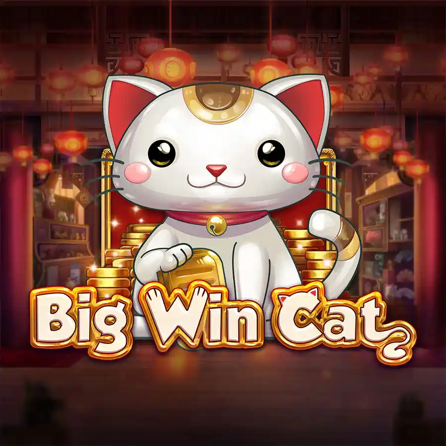 86WIN Big Win Cat